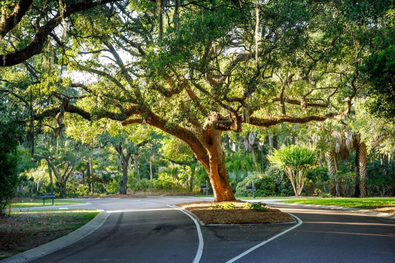 1313 Pelican Watch - Seabrook Island - Beachfront 5 Star Condo - Fido Friendly Exterior photo